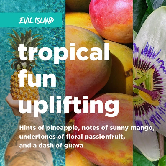 Evil Island Sparkling Adaptogen + Nootropic Elixir