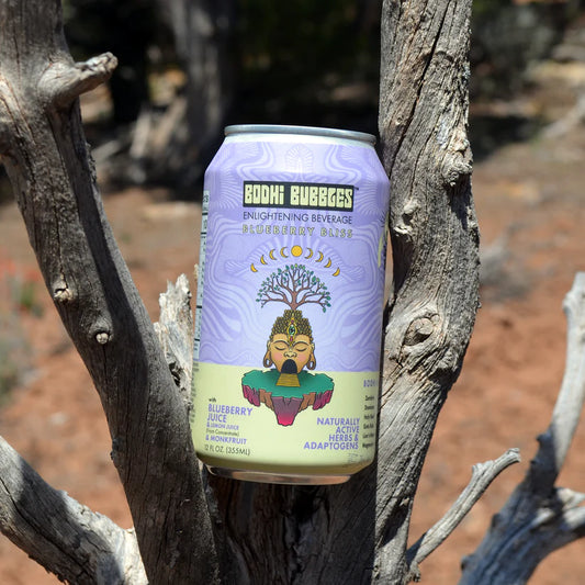 Dive into Delight with Bodhi Bubbles Blueberry