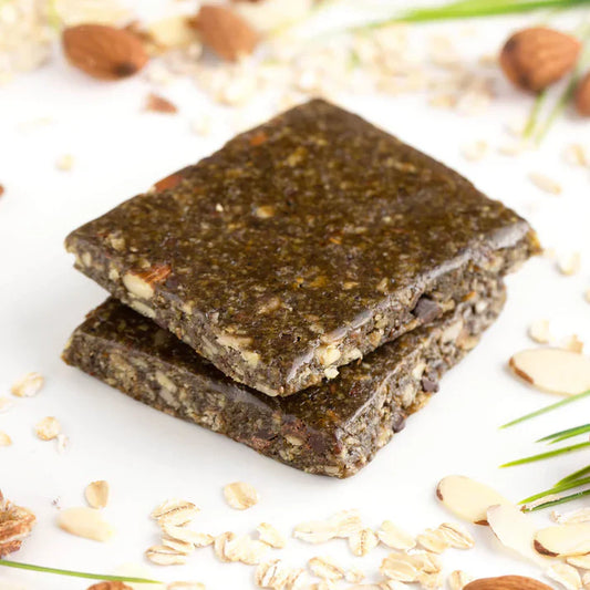 Fuel Your Adventures with PROBAR Superfood Slam Meal Replacement Bar