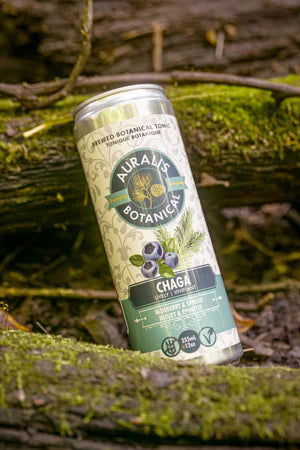 Discover the Ancient Wisdom of the Forest with Auralis Botanica Chaga
